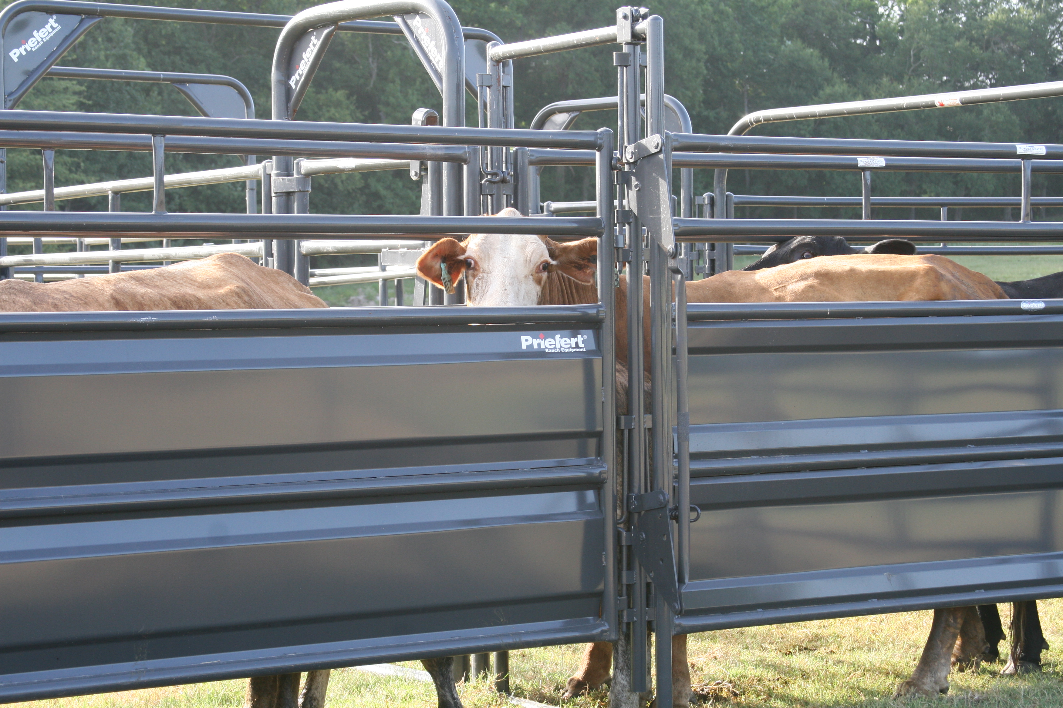 Solid Sweep SSOS 12 01.JPG